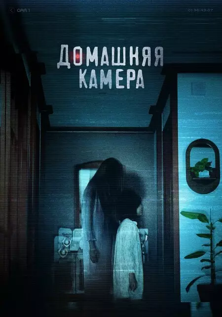 Домашняя камера